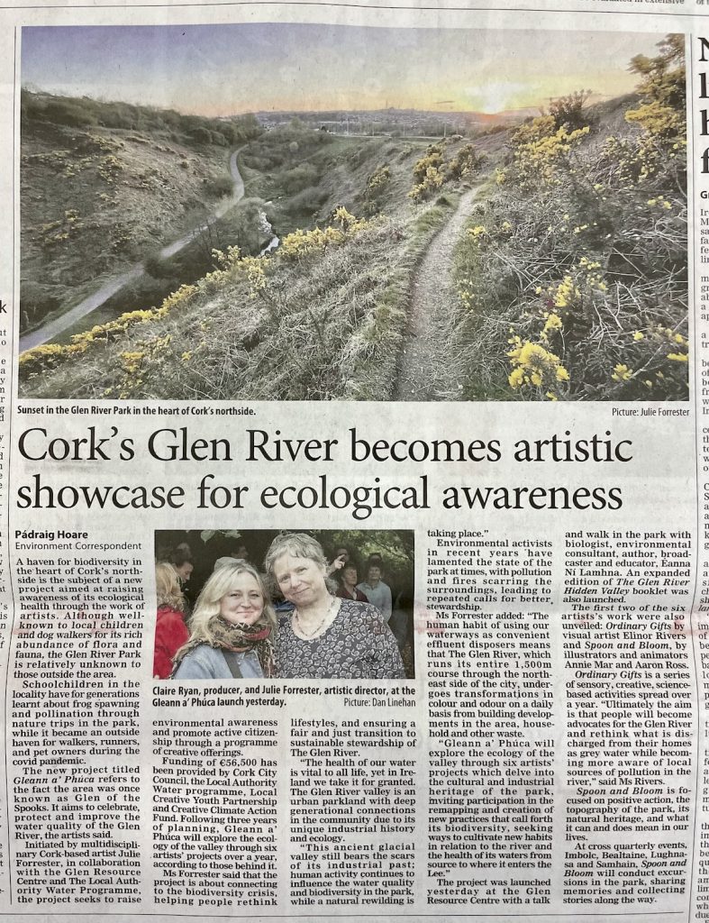 Newspaper Article The irish Examiner