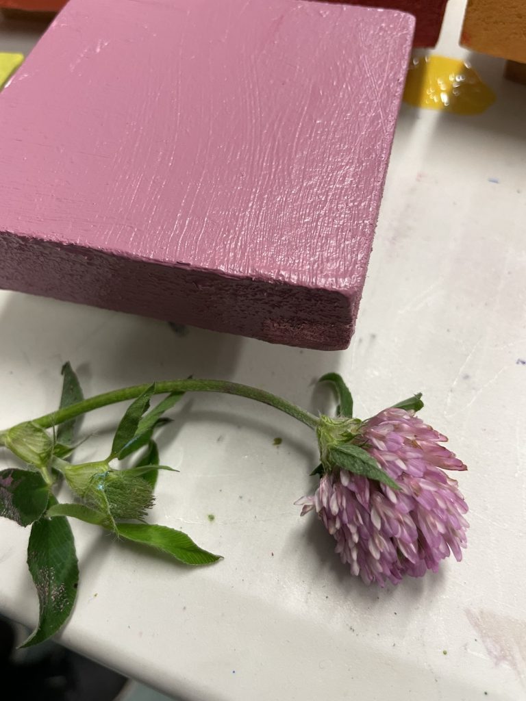 A photo of a clover and a wooden block painted the same purple