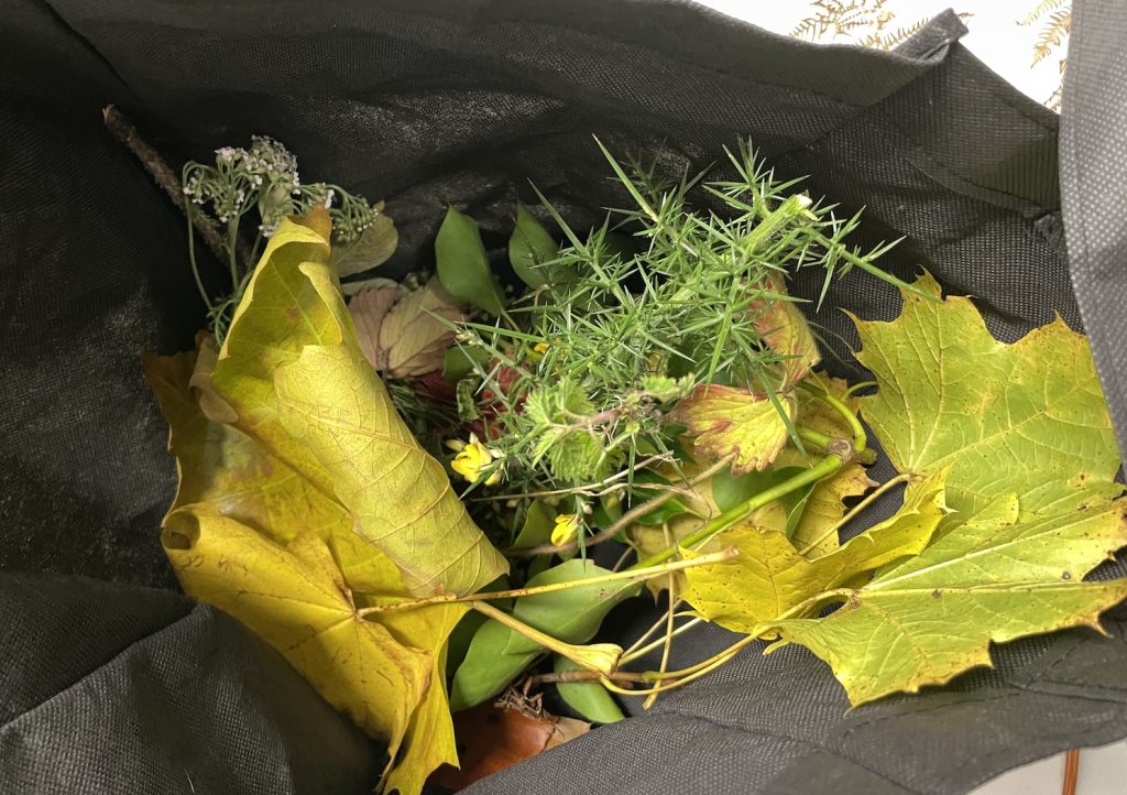 A photo of a bag full of autumn leaves