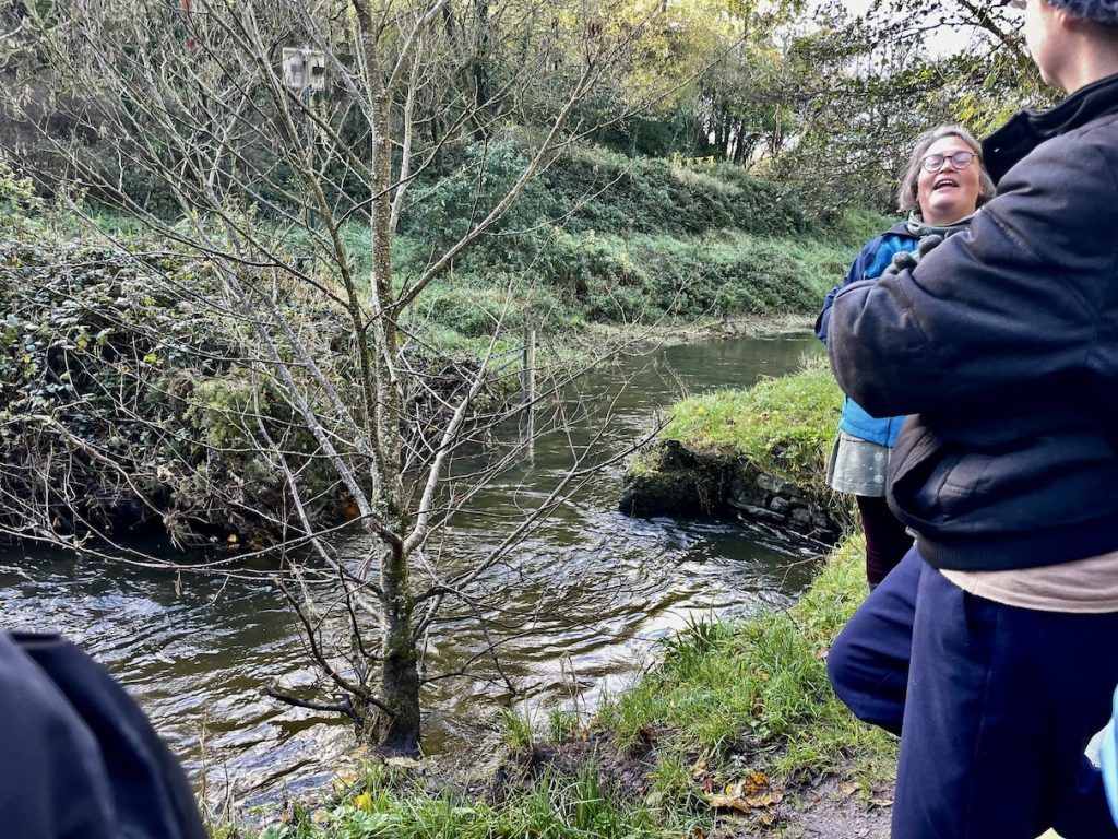 A group of people gathered arounf an alder tree growing in the river