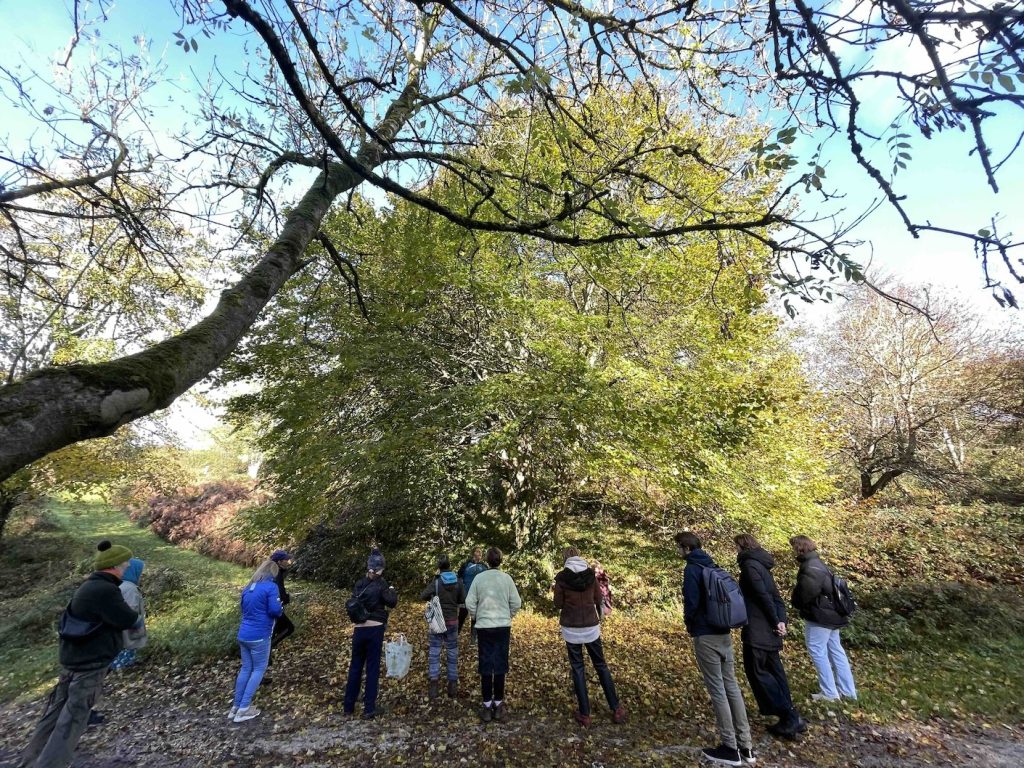 A group of people under a lime tree