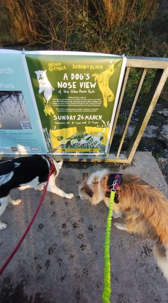 A photo of dogs and footprints by a sign for the Dogs Nose View Event in the Glen park