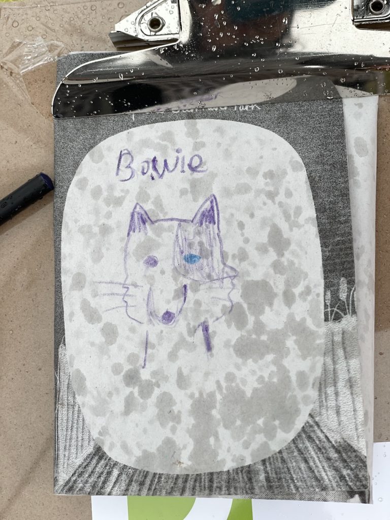 A photo of a drawing od a dog with rain