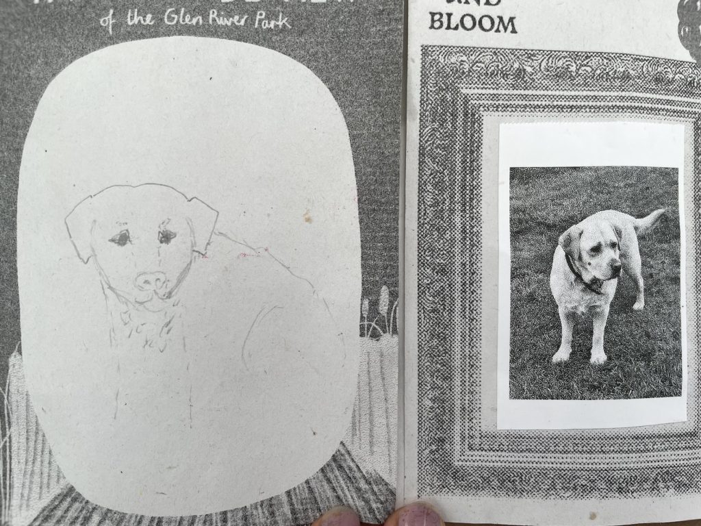 A photo of hand made zine pages including a drawing and a photo prtrait of a dog