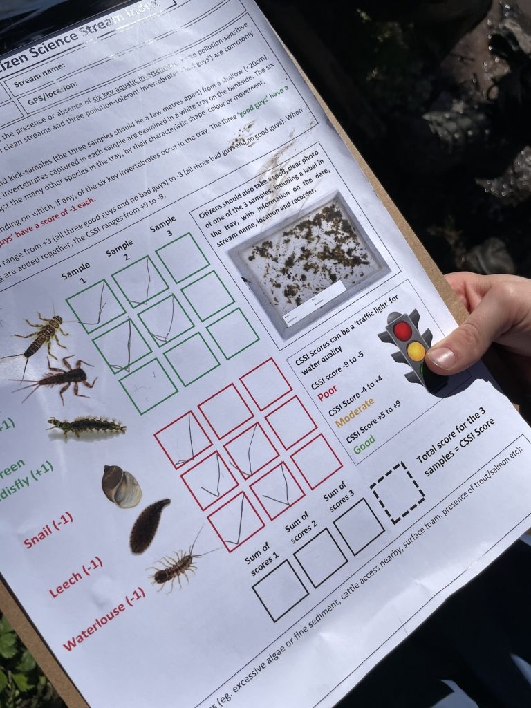 a photograph odf a record sheet showing aquatic life forms