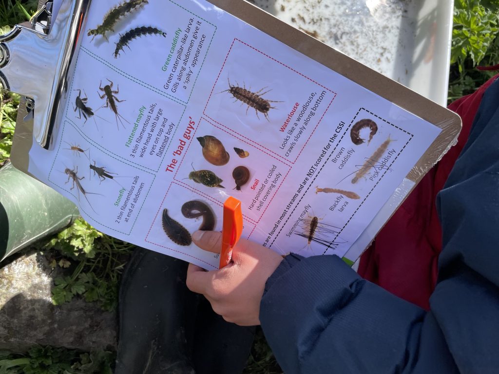 a child's hand holding identofying record sheet for aqautic life forms