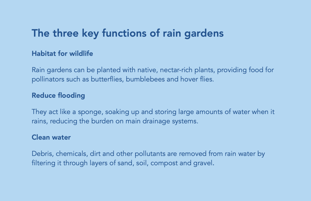 The 3 key functions of rain gardens