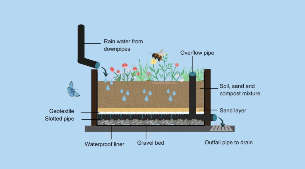 image showing a rain garden