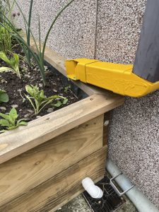 a photo shwoing the down pilpe into the rain garden and the over flow pipe