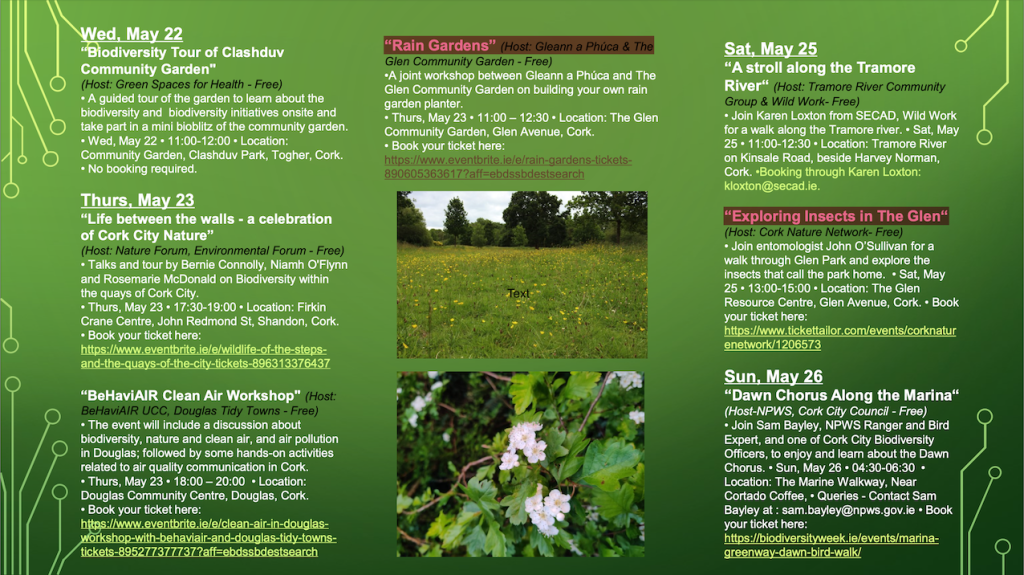 A Brochure about National Biodiversity listings from cork City Council page 2