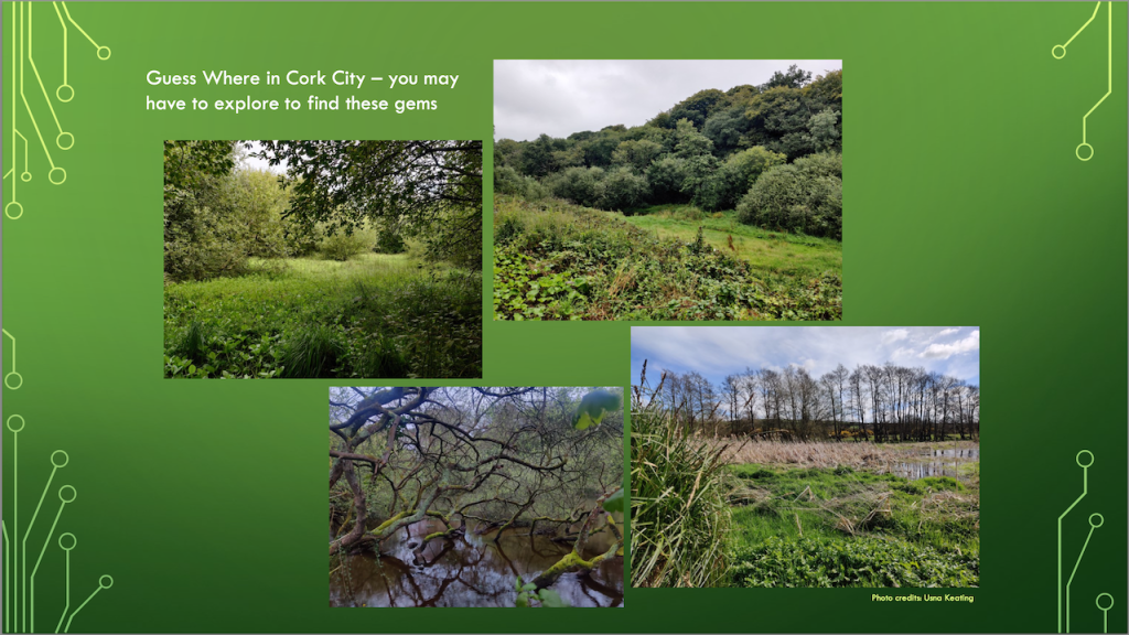 A Brochure about National Biodiversity listings from cork City Council page four