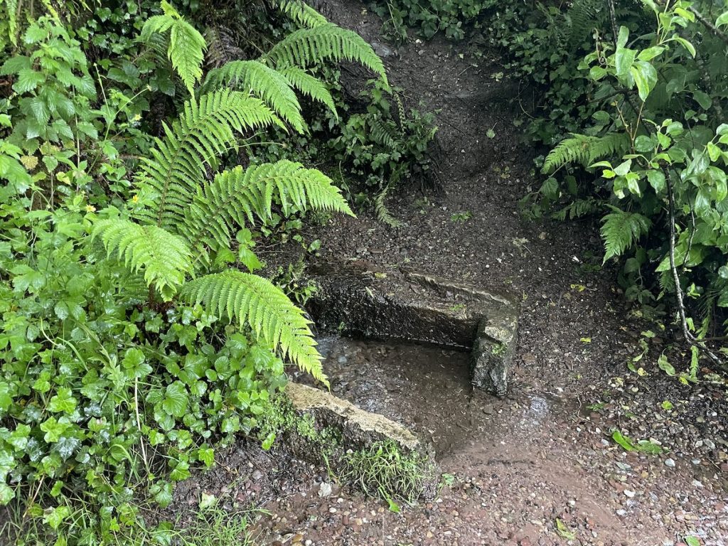 A photo of a well and plants