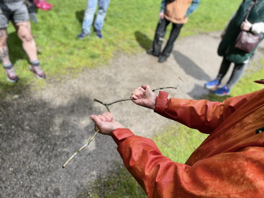 A photo of pair of arms holding a willow switch