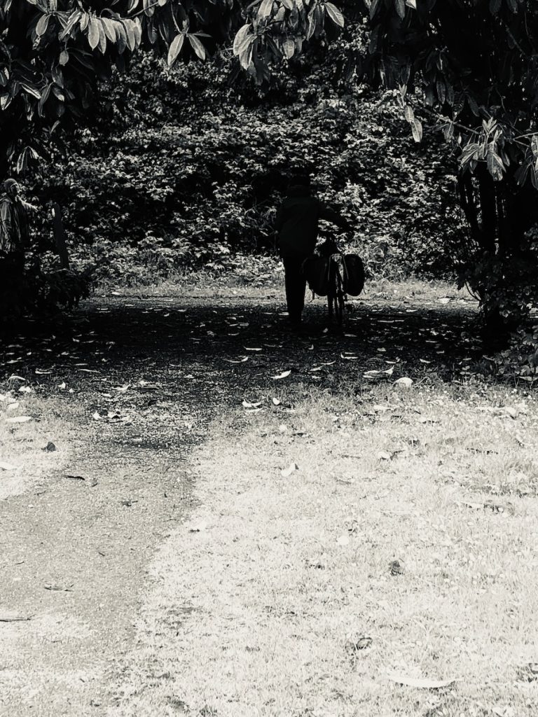 a black and white photo of a person and a bicycle passing between some trees