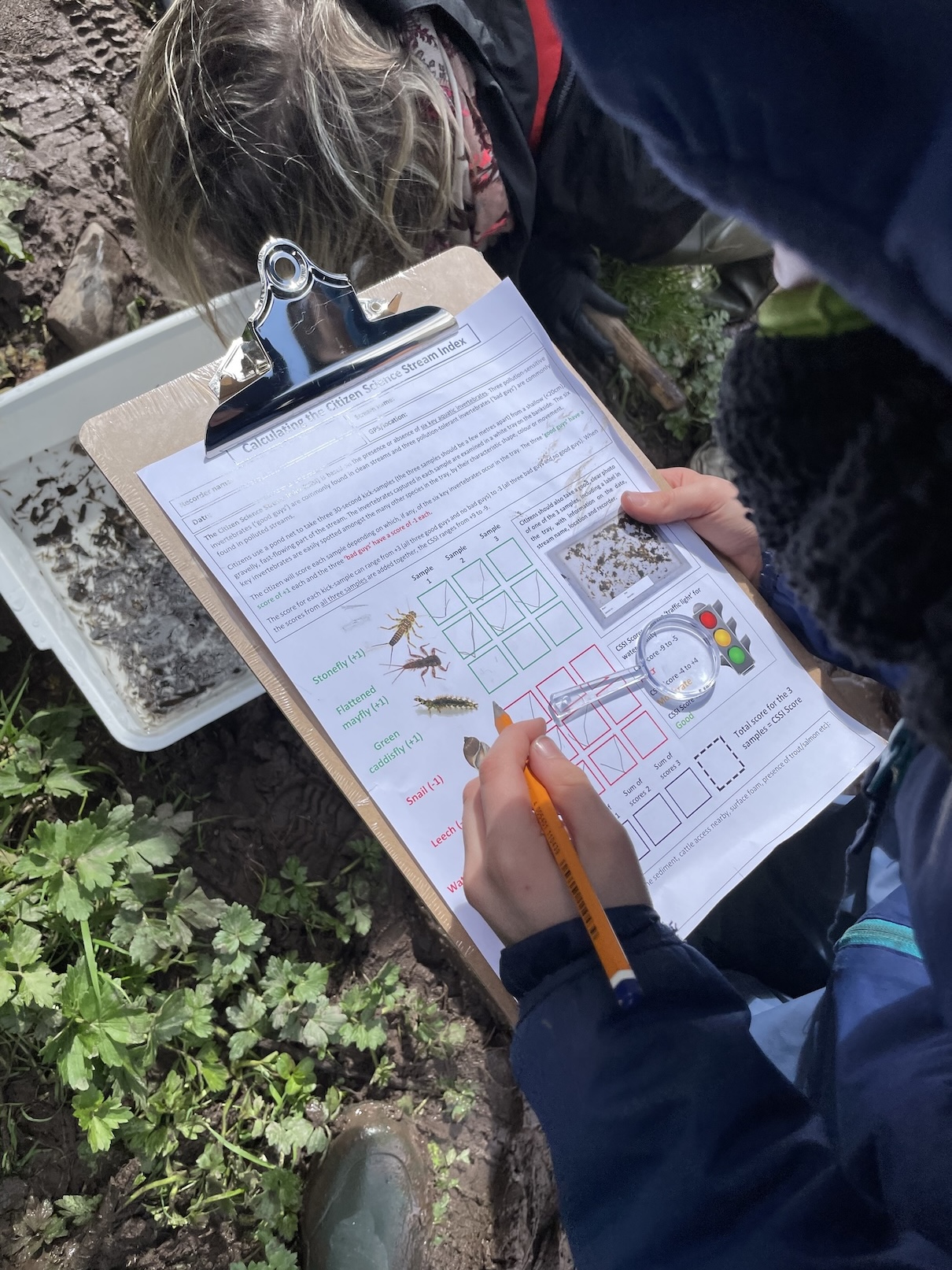 A photo close up of a person holding a clipboard and checking data findings on it