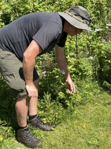 a man wearing a hat pointing at a palnt in a hedge