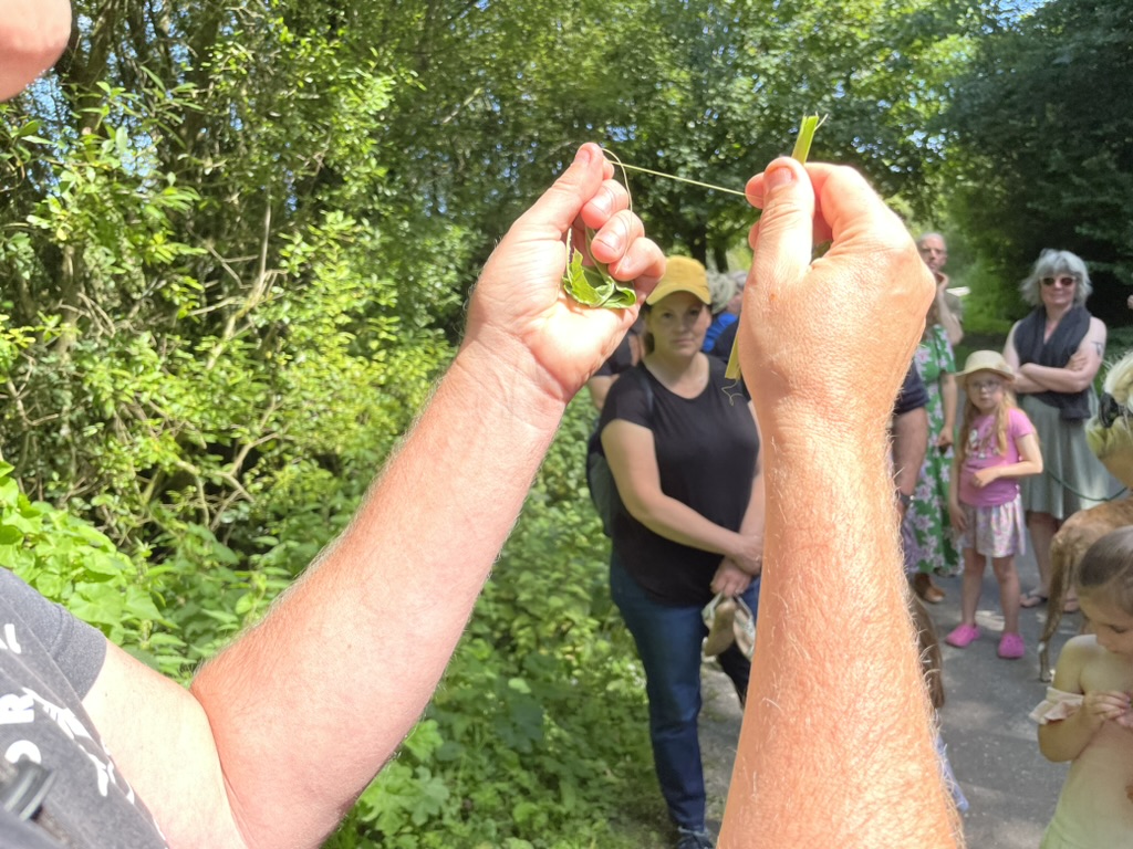 a photo of a pair of hands hoding a raw plant fibre 