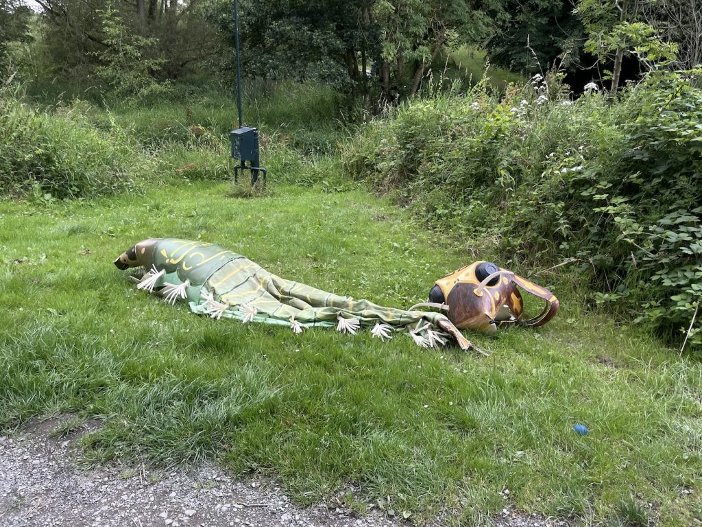 A photo of a costume ying on a riverbank