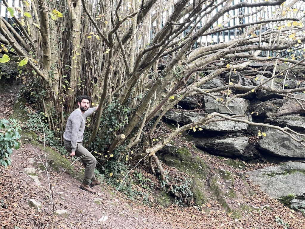 A man in front ot a tree holding onto one of its branches