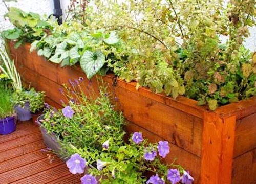 A picture of a rainwater planter with flowers