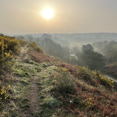 A photograph looking East over the Glen at sunrise