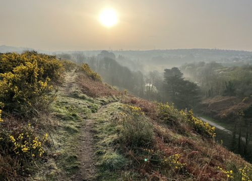 A photograph looking East over the Glen at sunrise