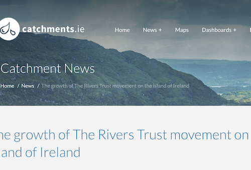 a screenshot of catchments.ie website