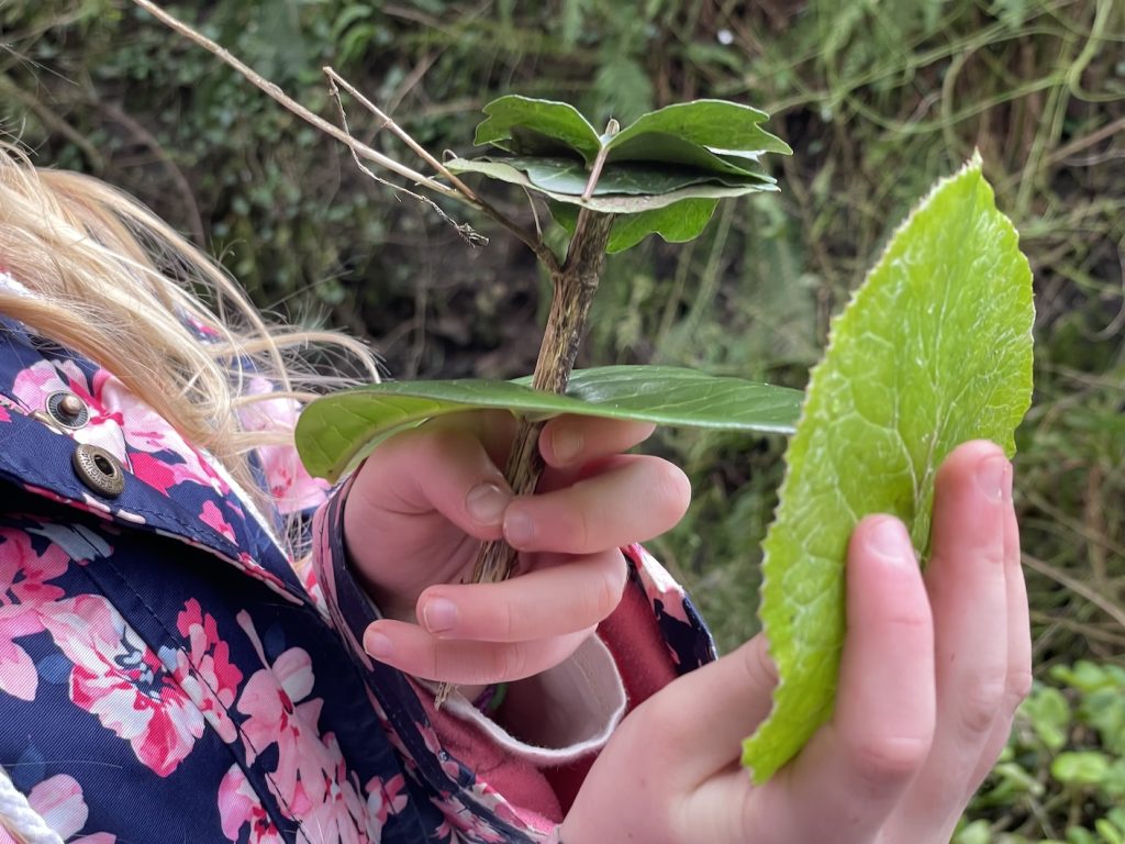 A photo of a child holding leaves made into sculptures