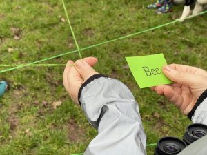 a photo of a hand holding a card saying "bee"