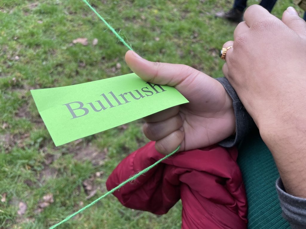 a photo of a hand holding a card sayong bullrush