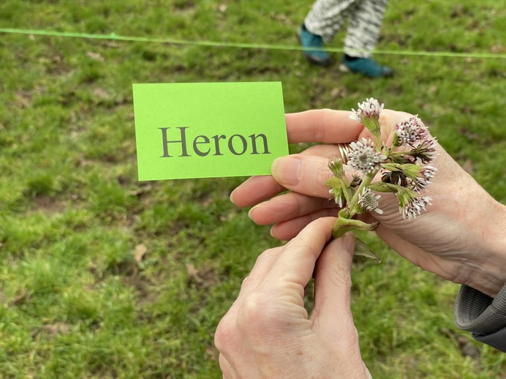 a photo of a hand holding a card with Heron written on it