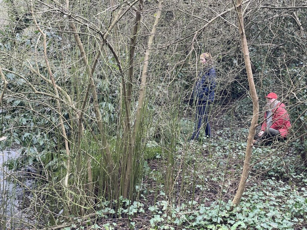 a photo of people in the undergrowth