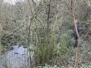 a photo of people in the undergrowth