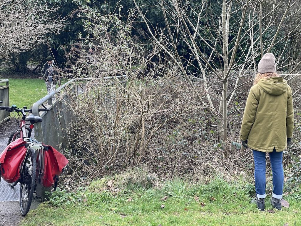 a photo of a person standing near a bridge