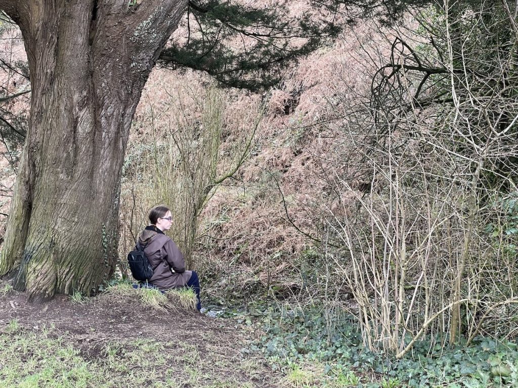 a photo of a woman under a tree by the river