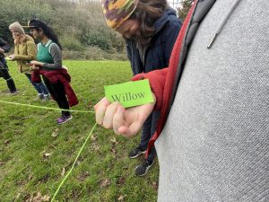 a photo of a hand holding a card saying "willow"