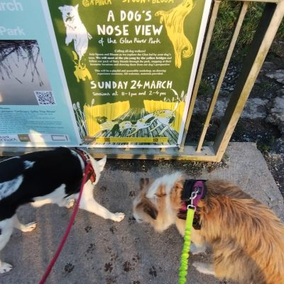 A photo of dogs and footprints by a sign for the Dogs Nose View Event in the Glen park