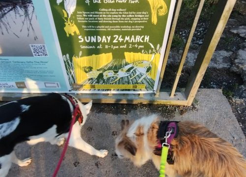 A photo of dogs and footprints by a sign for the Dogs Nose View Event in the Glen park