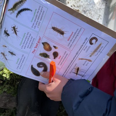 a child's hand holding identofying record sheet for aqautic life forms