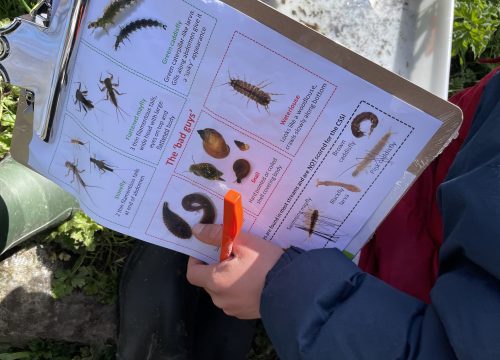 a child's hand holding identofying record sheet for aqautic life forms