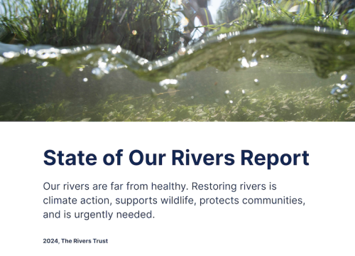 A screen shot of the web page of the Rivers Report