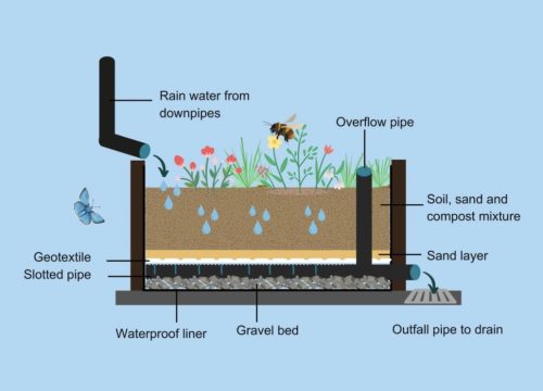 image showing a rain garden