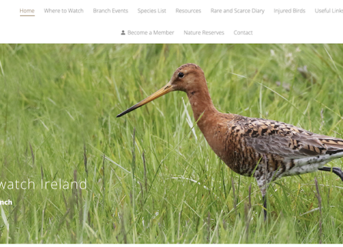 a screenshot of Birdwatch Ireland Cork's website homepage showing a curlew in the grass