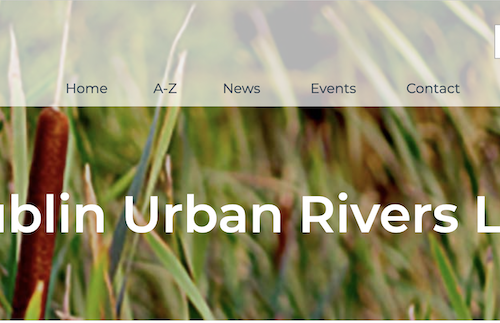 A screen shot from the Dublin urban rivers Life website