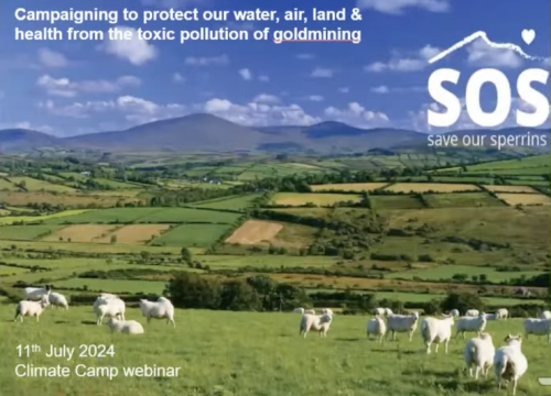 A screenshot from the Slí Eile climate Action Camp 2024 Webinar