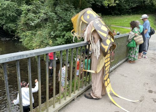 a photo of a man in costume of an invertebrate - the stonefly