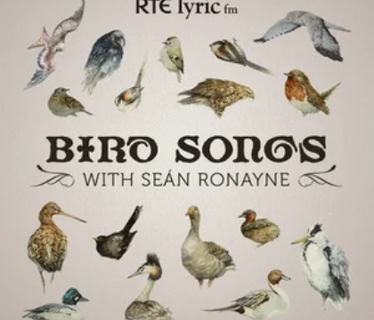 A poster for RTE Lyric FM Birdsong podcast